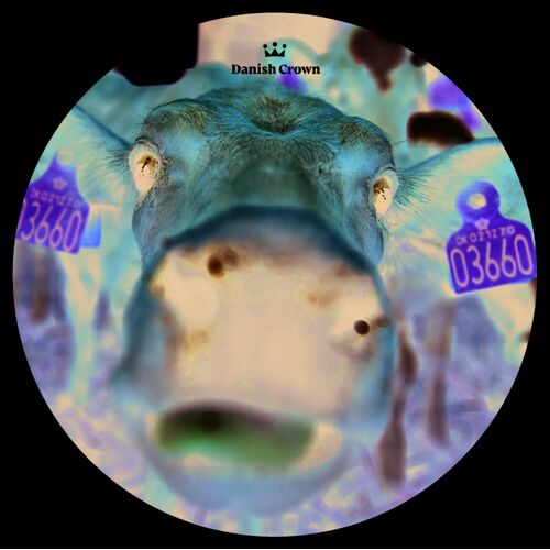 Cow Mouse Pad with Danish Crown logo